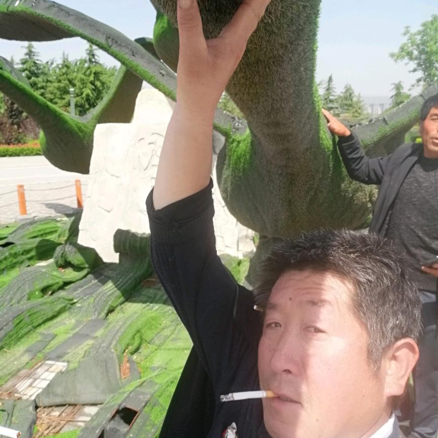 雄霸天下