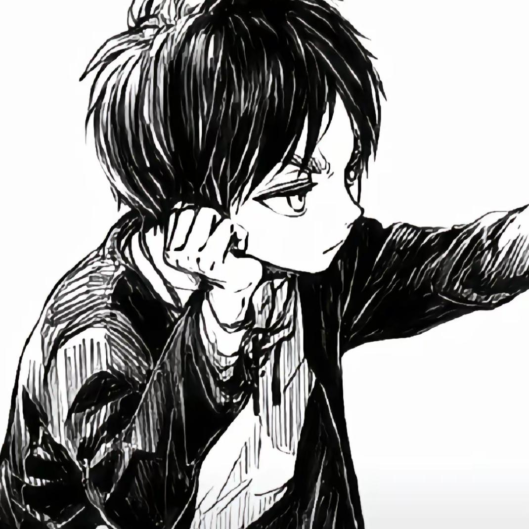 帕岛男模y