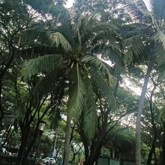 💕ღ͜有冉ꦿ͜护张᭄࿐
