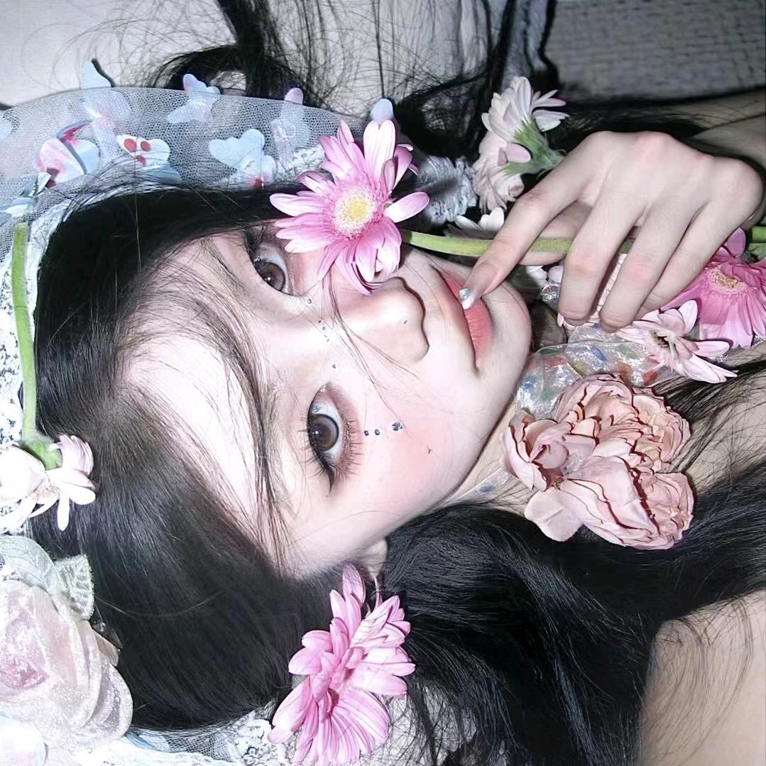 山茶涩花猫