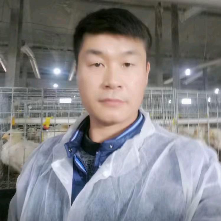 东东～金子聊养鸡