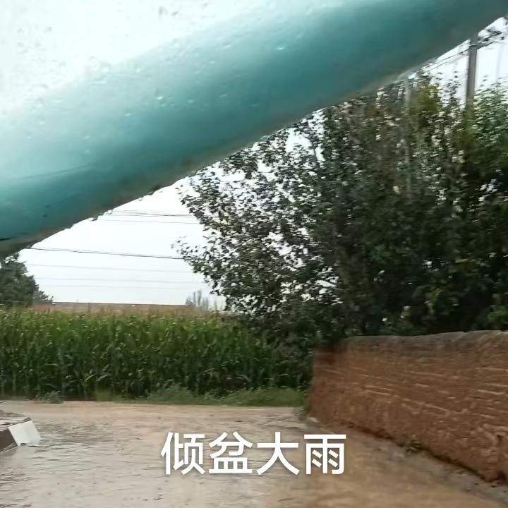 涐不坚强没人替我勇敢