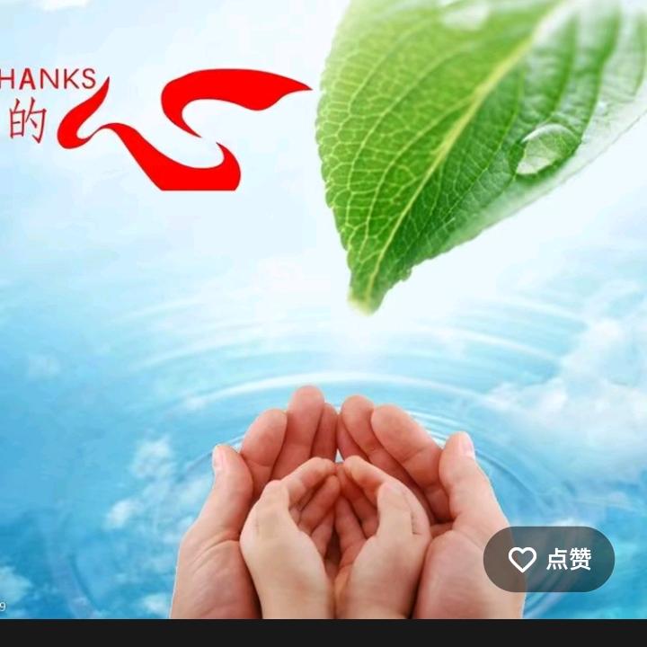 孤雁单飞