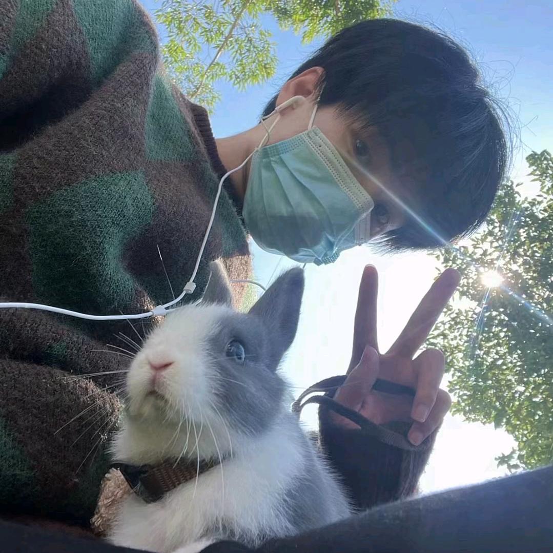 做个好梦-
