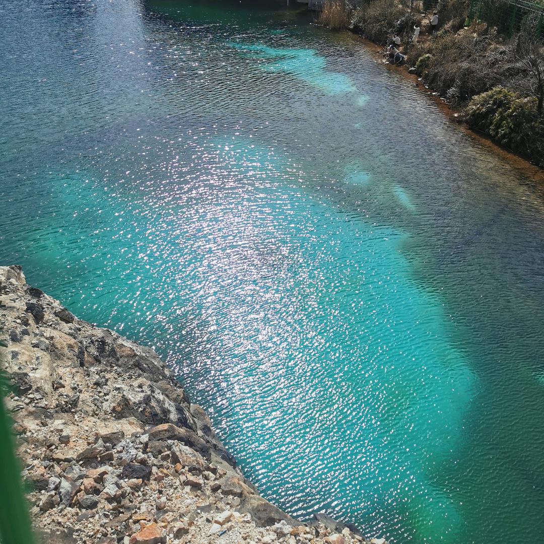 杨杨杨