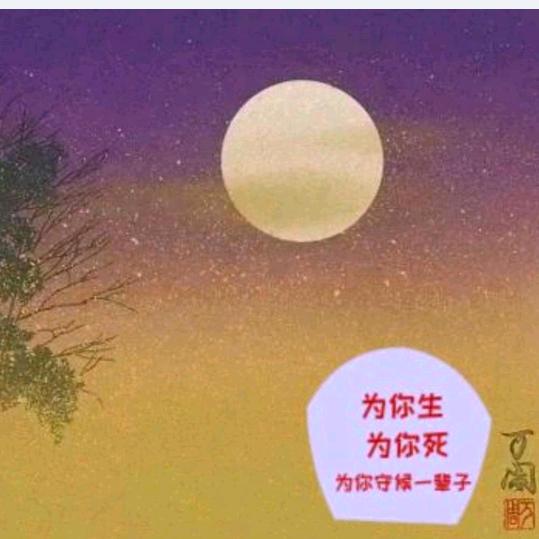 ✨💫旱莲花💫✨