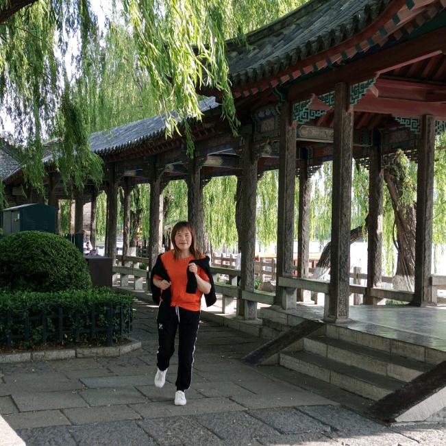 小太阳向日葵