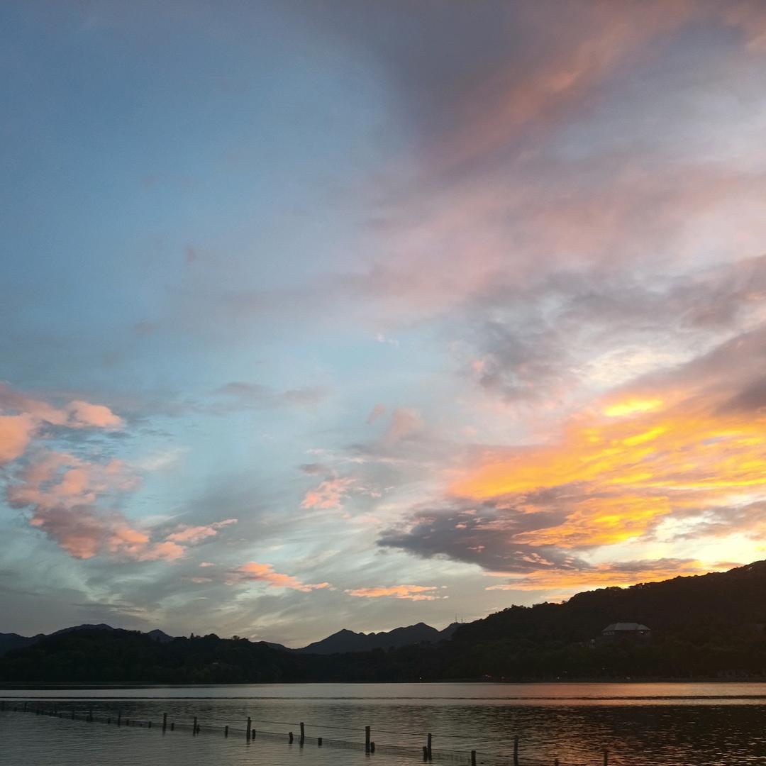 卖百合的小女孩儿