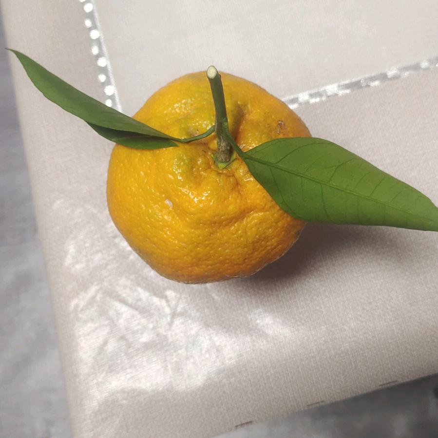 宋江