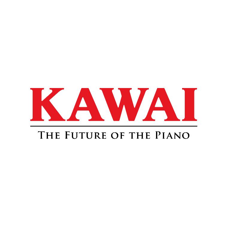 KAWAI卡瓦依音无涯乐器专卖店