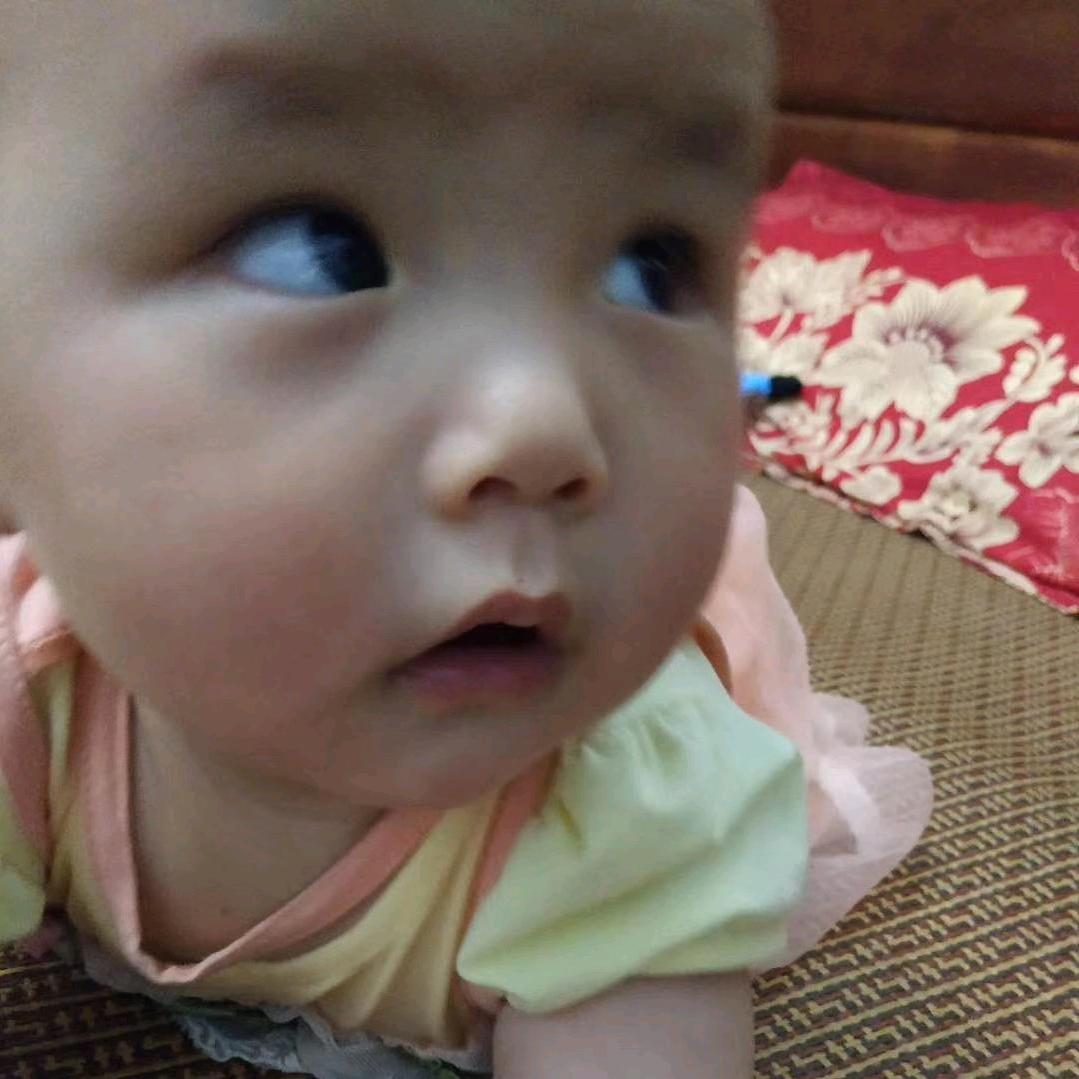 馋宝一一
