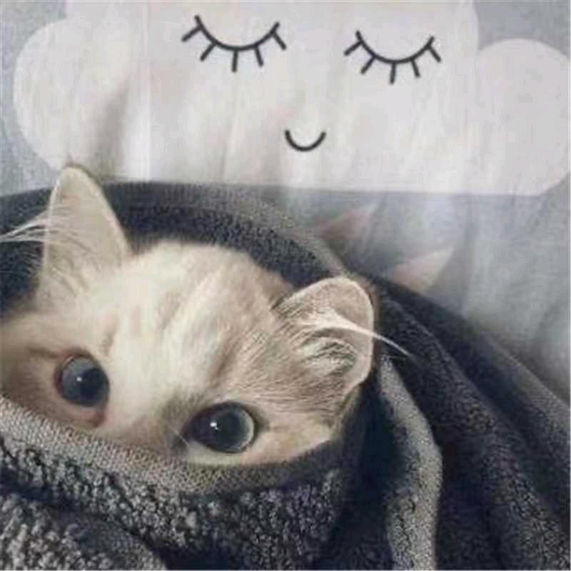 王姐👉好物推荐