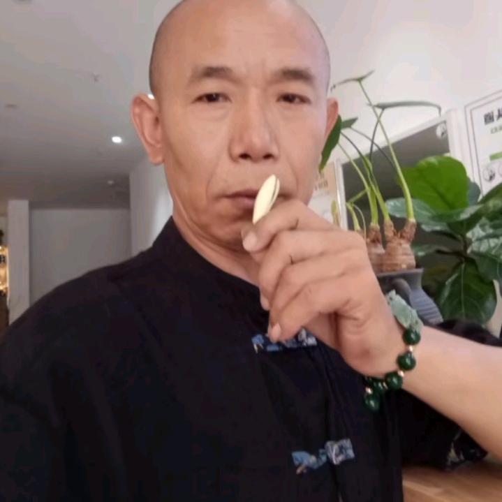 马家捷，捷尔吉普赛