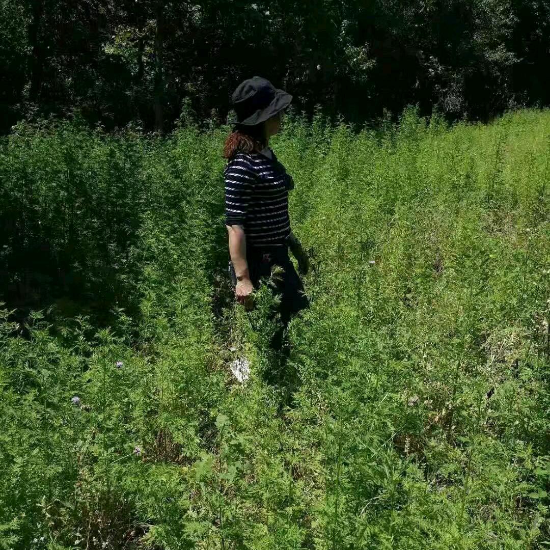 记忆@