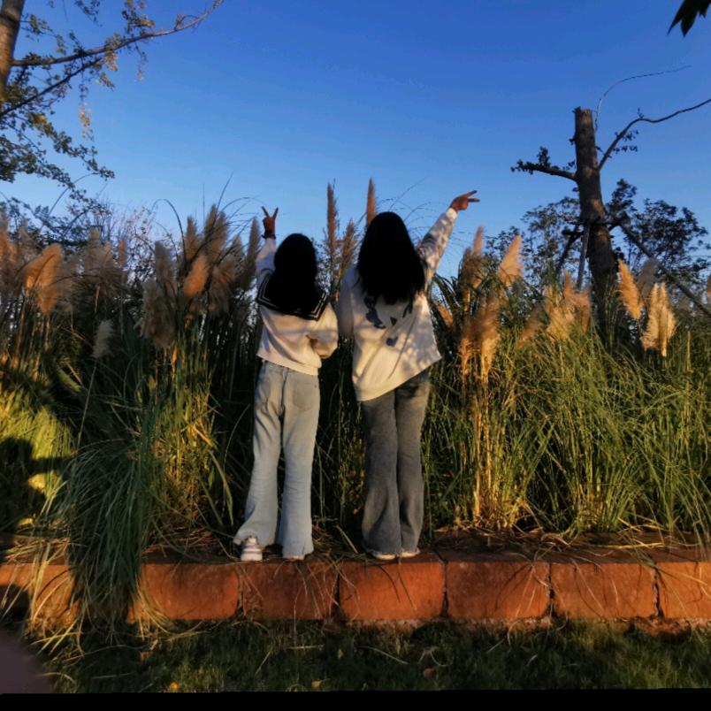 阳光汽车服务苏