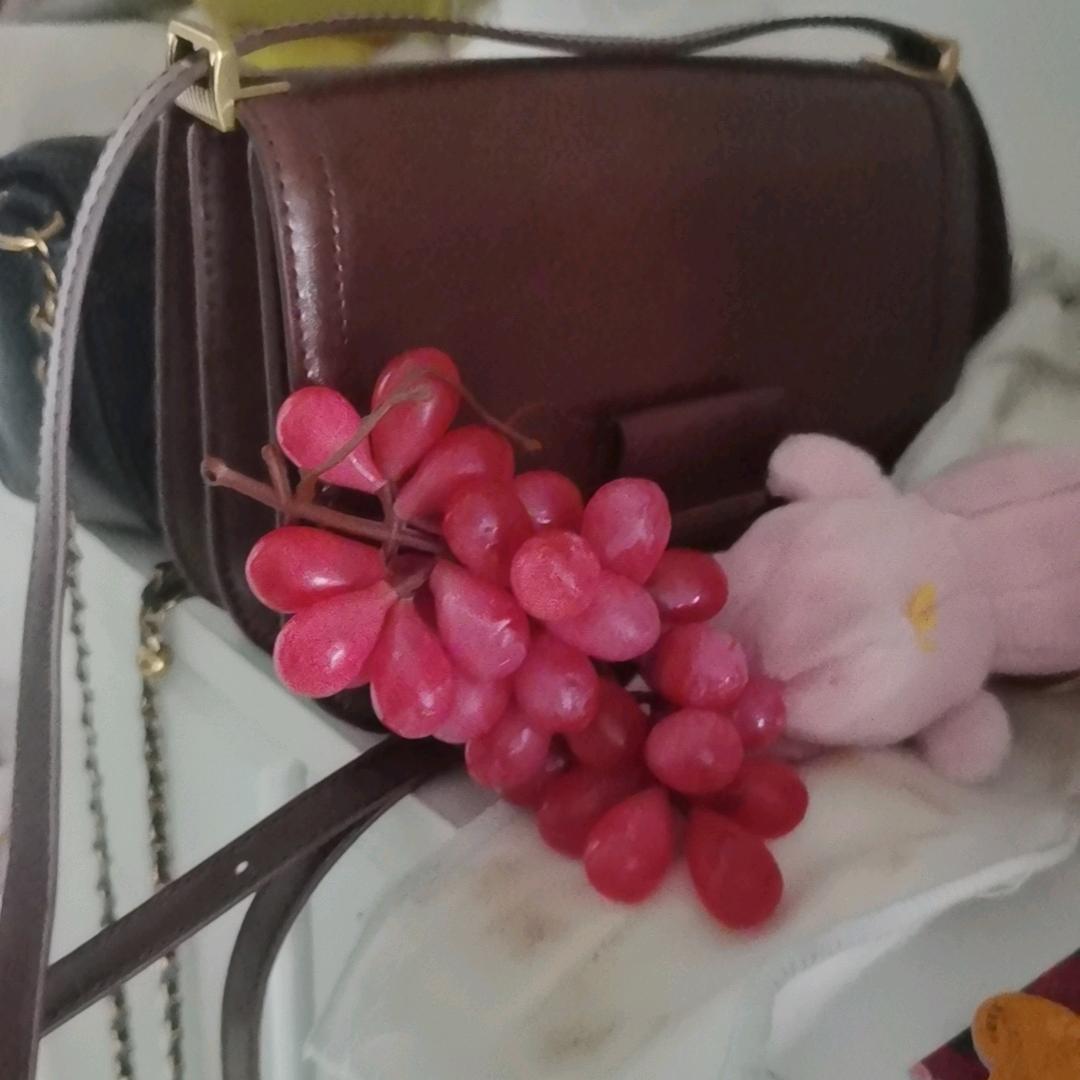 葡萄儿