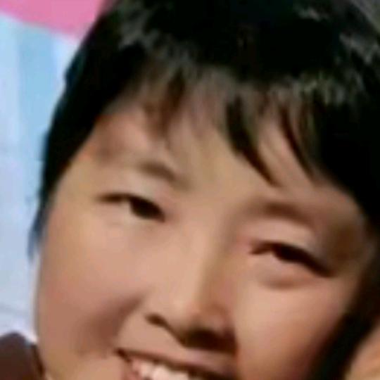 田春华