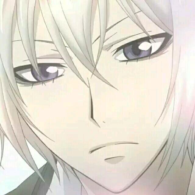 Elerst（装机版）