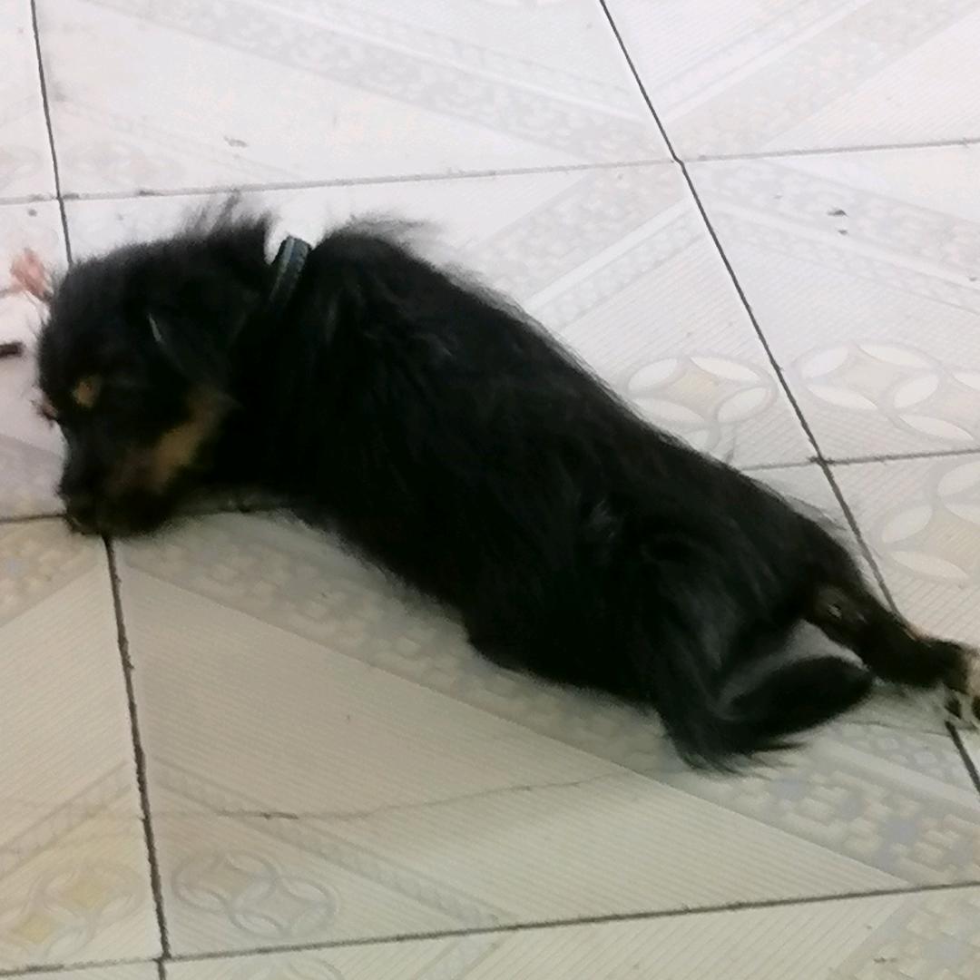 莫忘初心