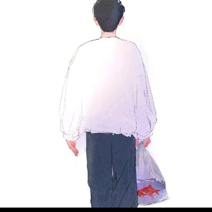 人生若只如初见