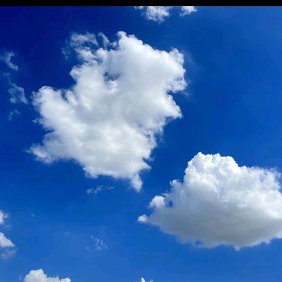 🍀🍀💖深海龙♉️