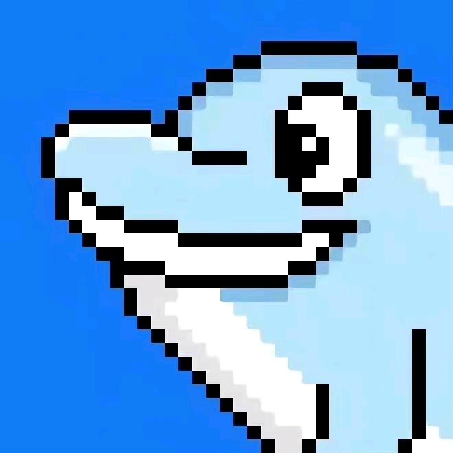 海豚404