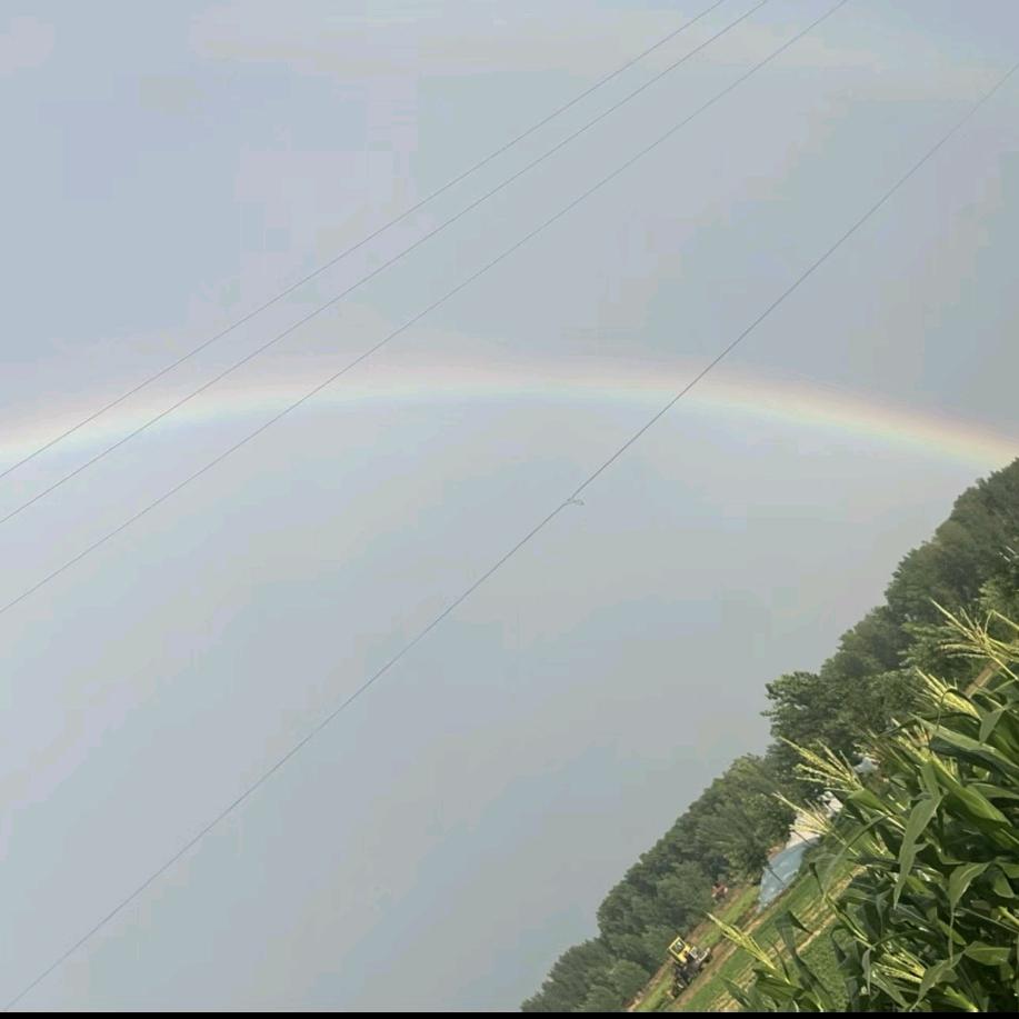 🍵茶颜👑悦色🍒（湖北姑娘在河南）