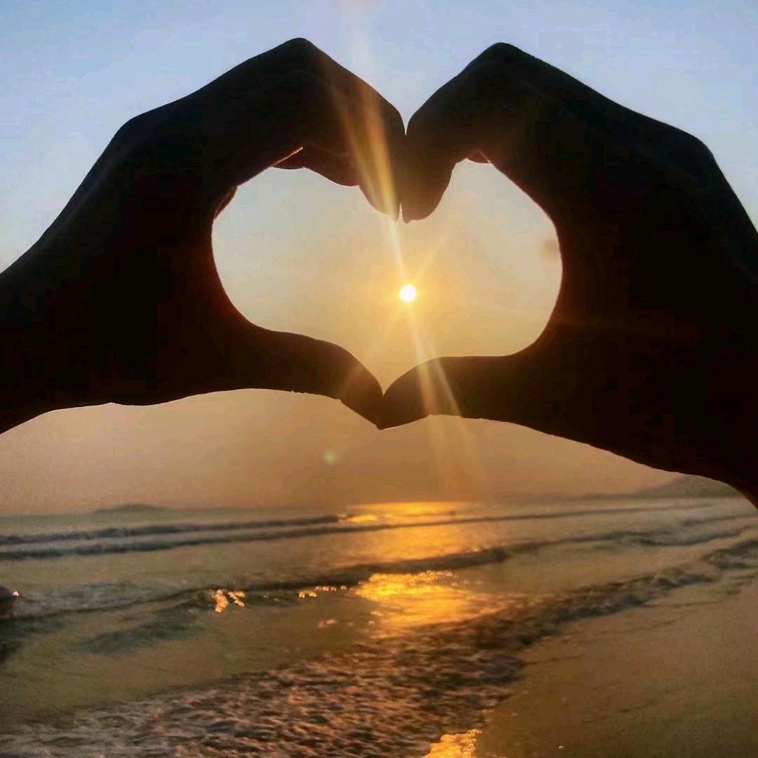 💞简~单💕