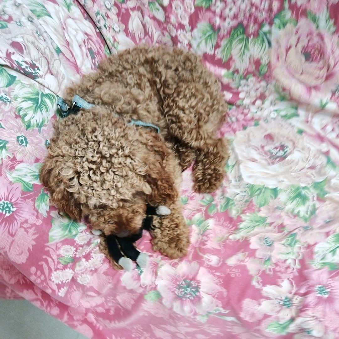 一无所有。