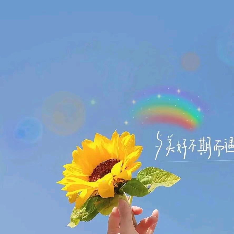 @🥀⃟执᭄念ꦻ: ℒᎭℯ