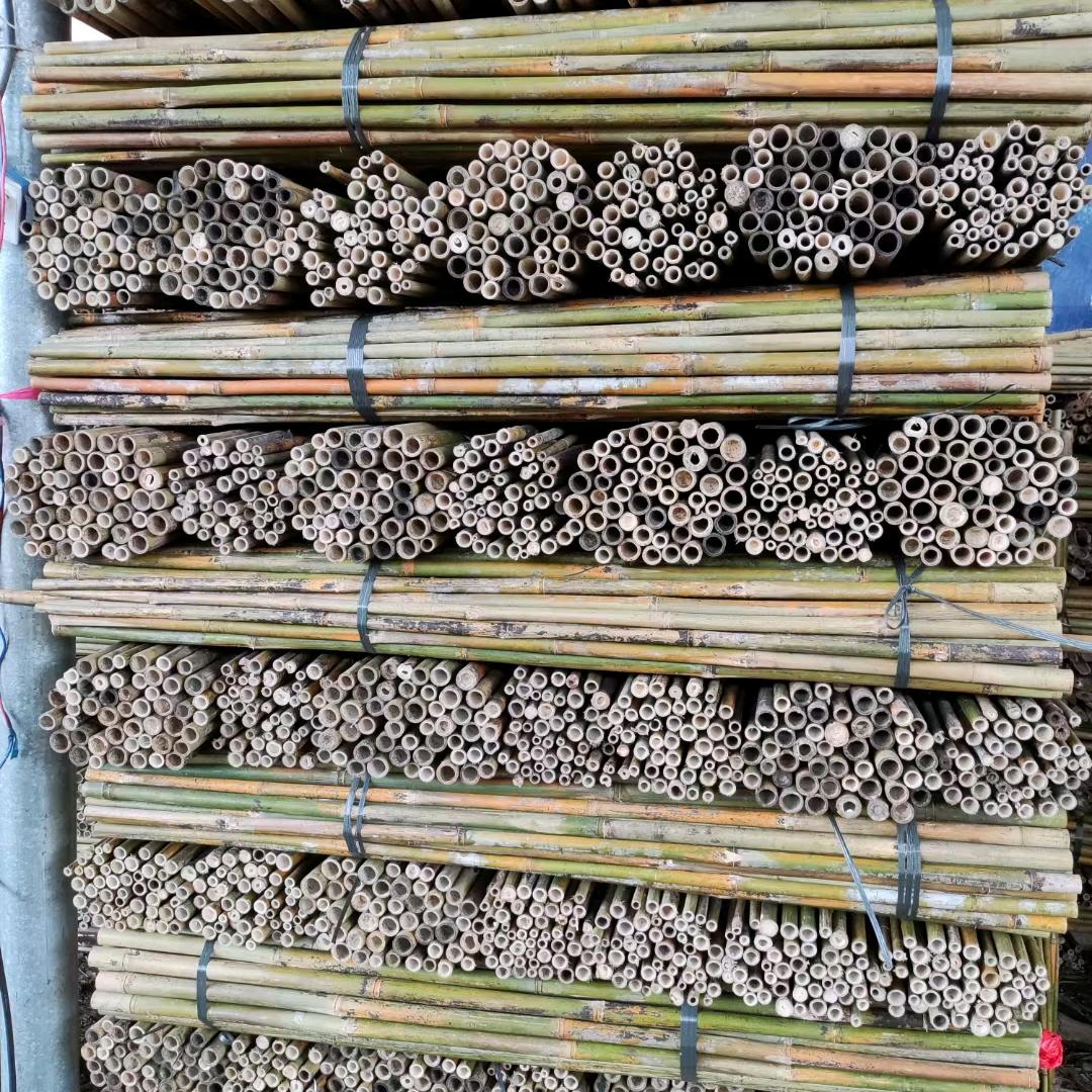 A岁月如梭🏇🏾