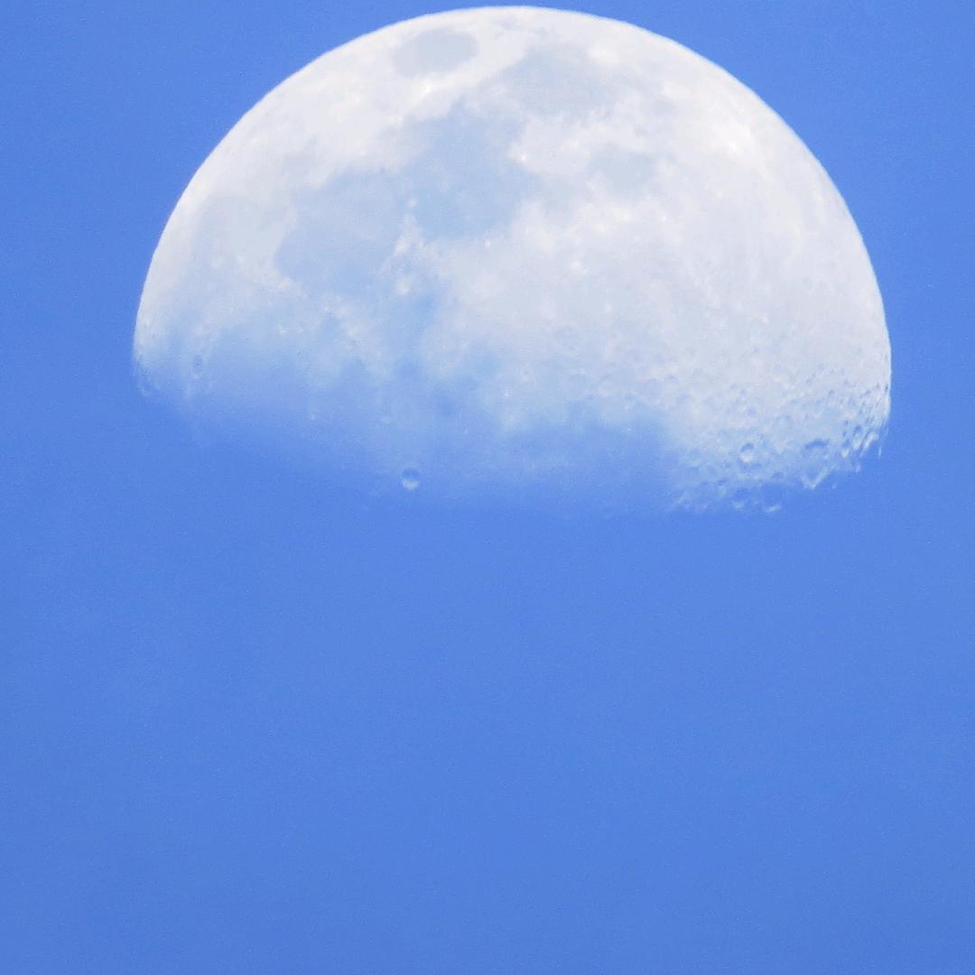 娱乐追星记