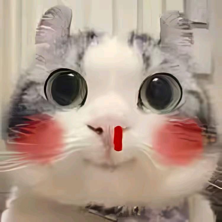 牢墨