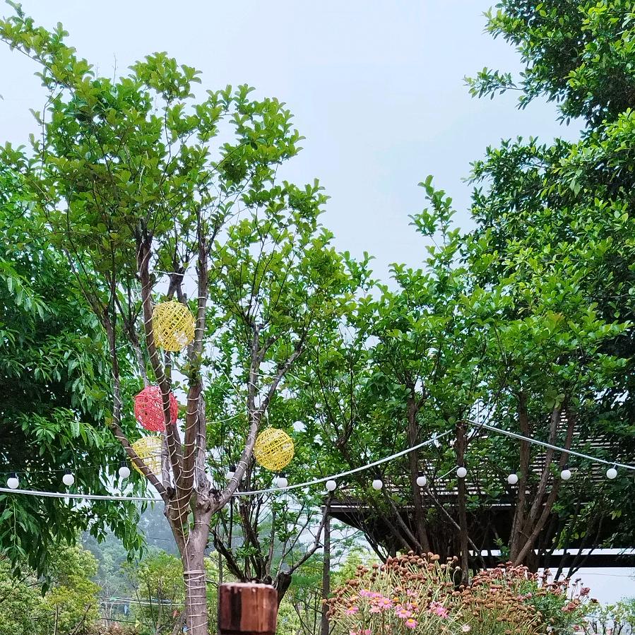 青山绿水细雨