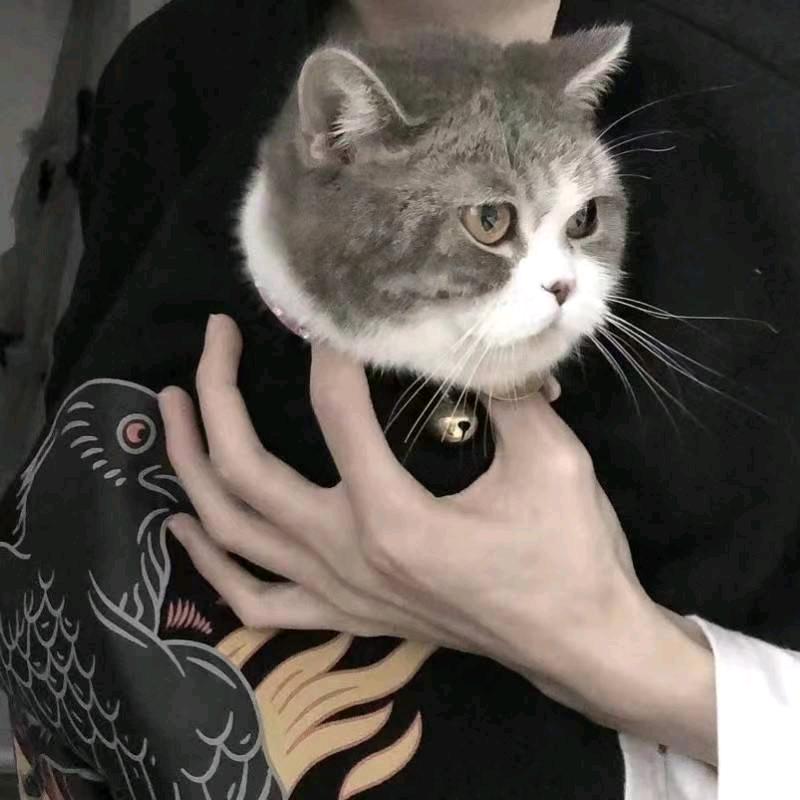艺 泷