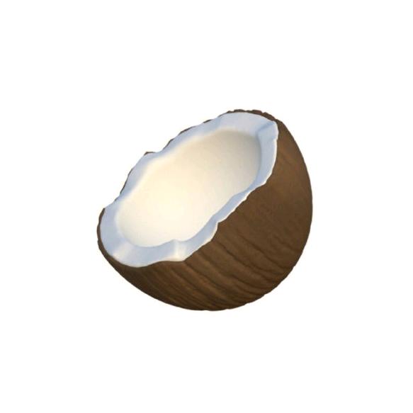椰子壳壳