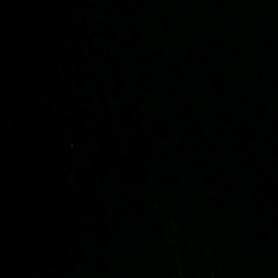 ୧⍤⃝迟来的遇见