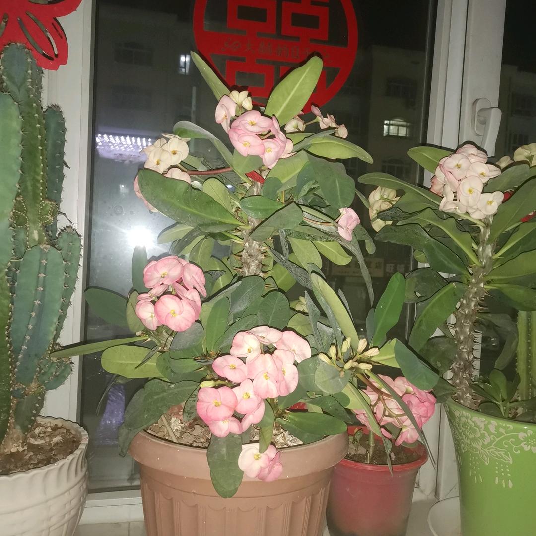 用户3617538387306