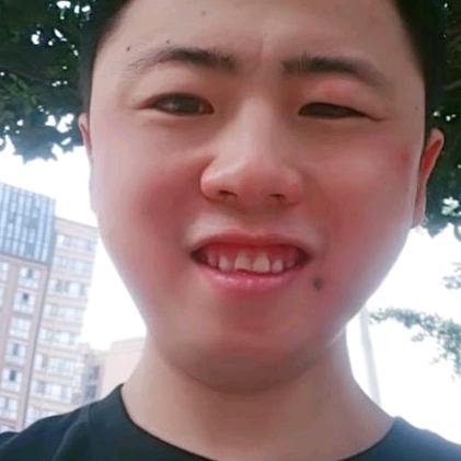 小狗91