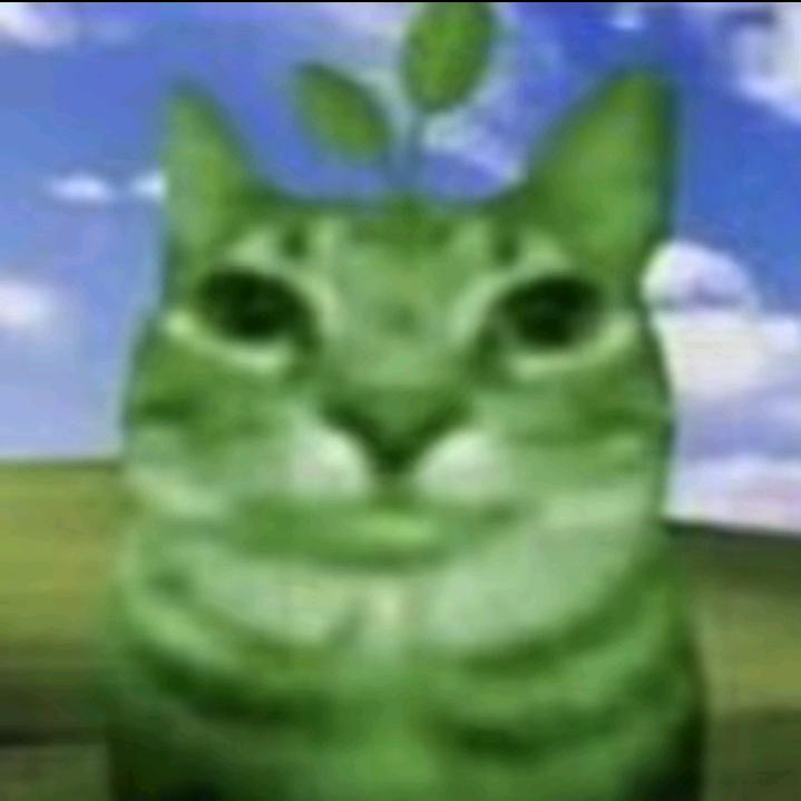 ffff