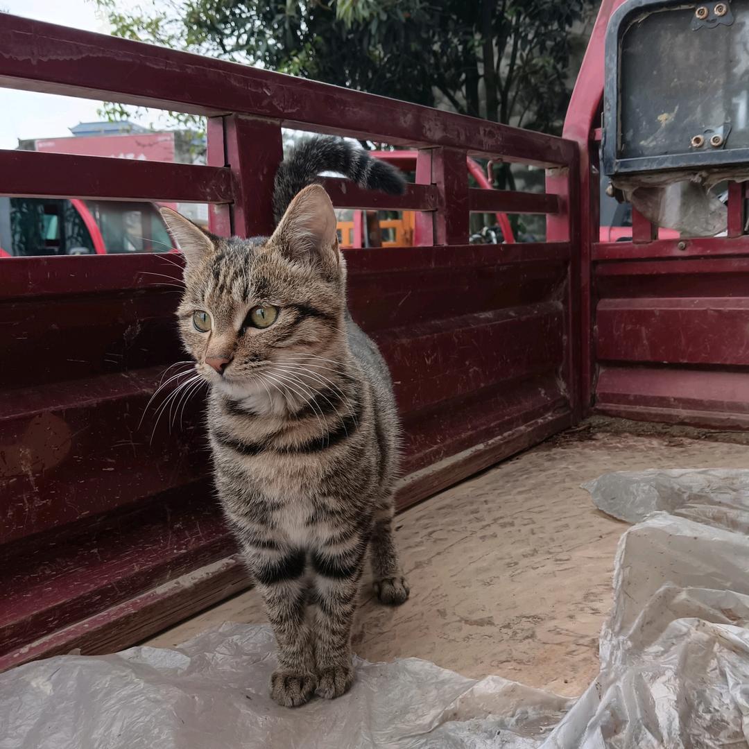 贰零贰伍☞追寻☜