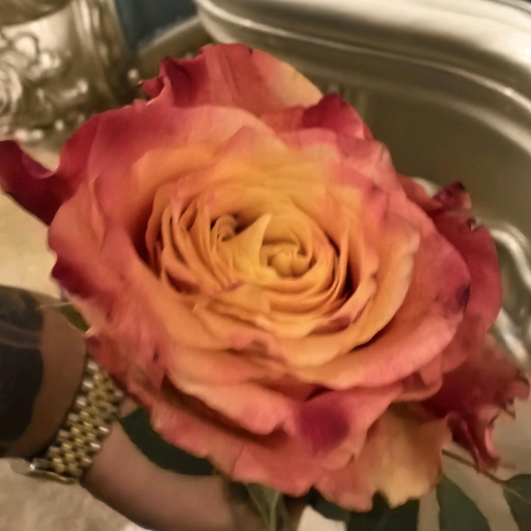 成都六六优品果业