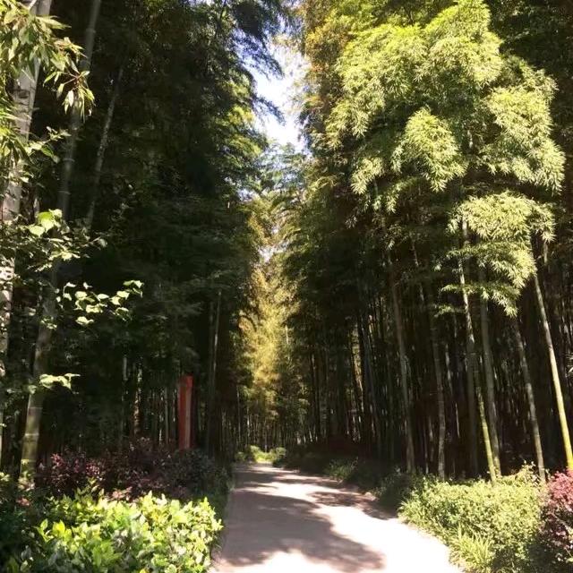 尚品本色木门、墙、柜一体化