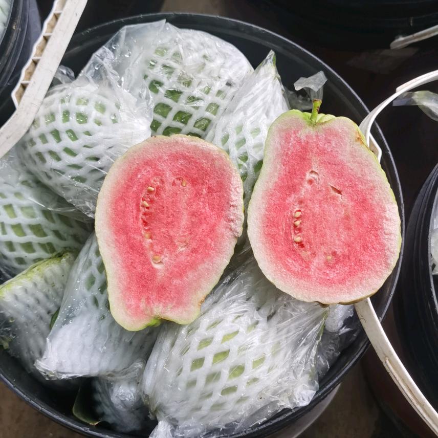 玉林市福绵区润庭农场