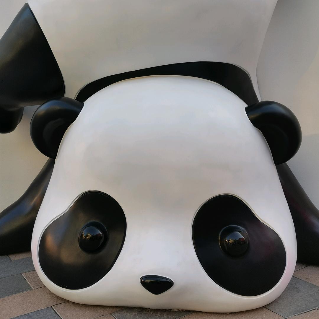 潜龙(摄影)