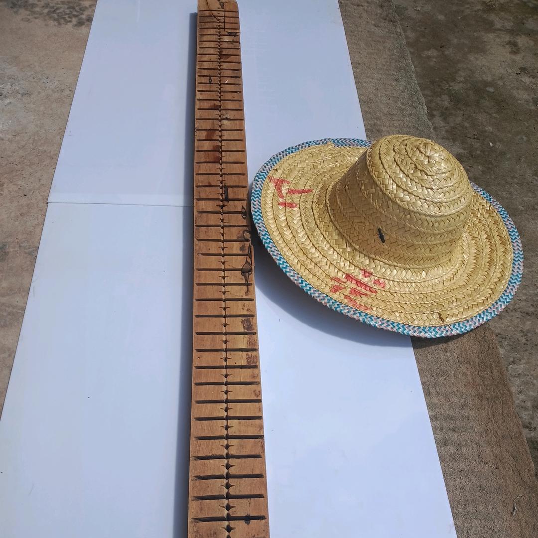 用户12345农村人