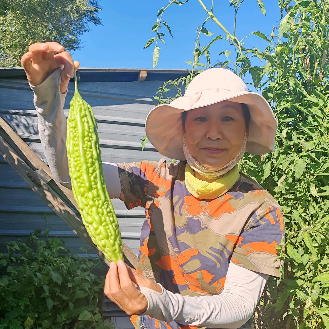 艳艳小院