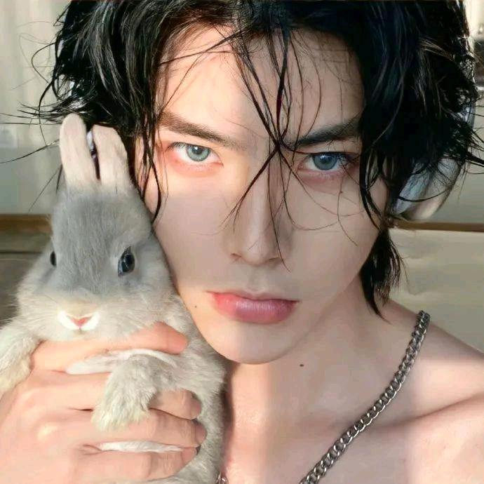 蘑菇咕咕咕咕咕