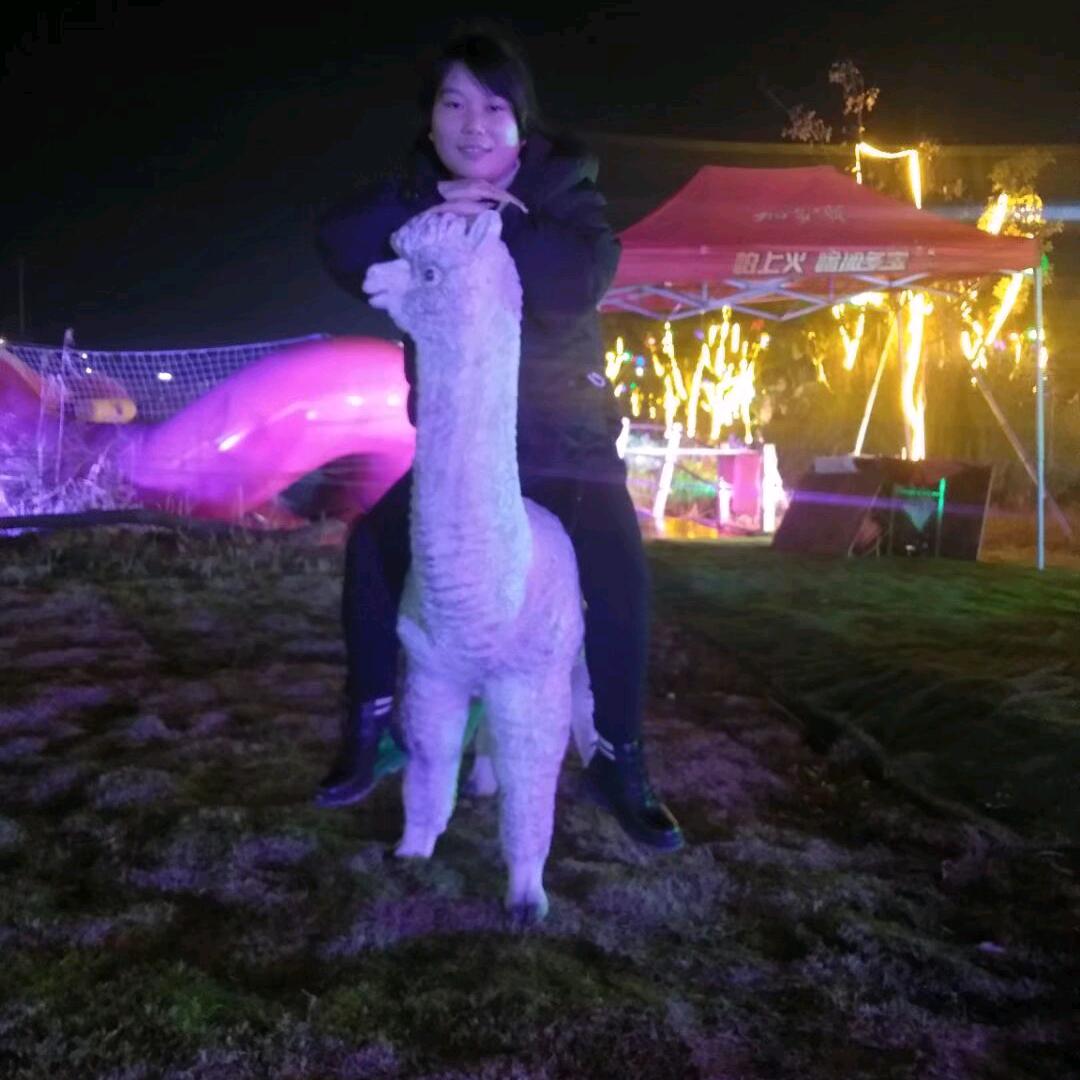 真我足迹