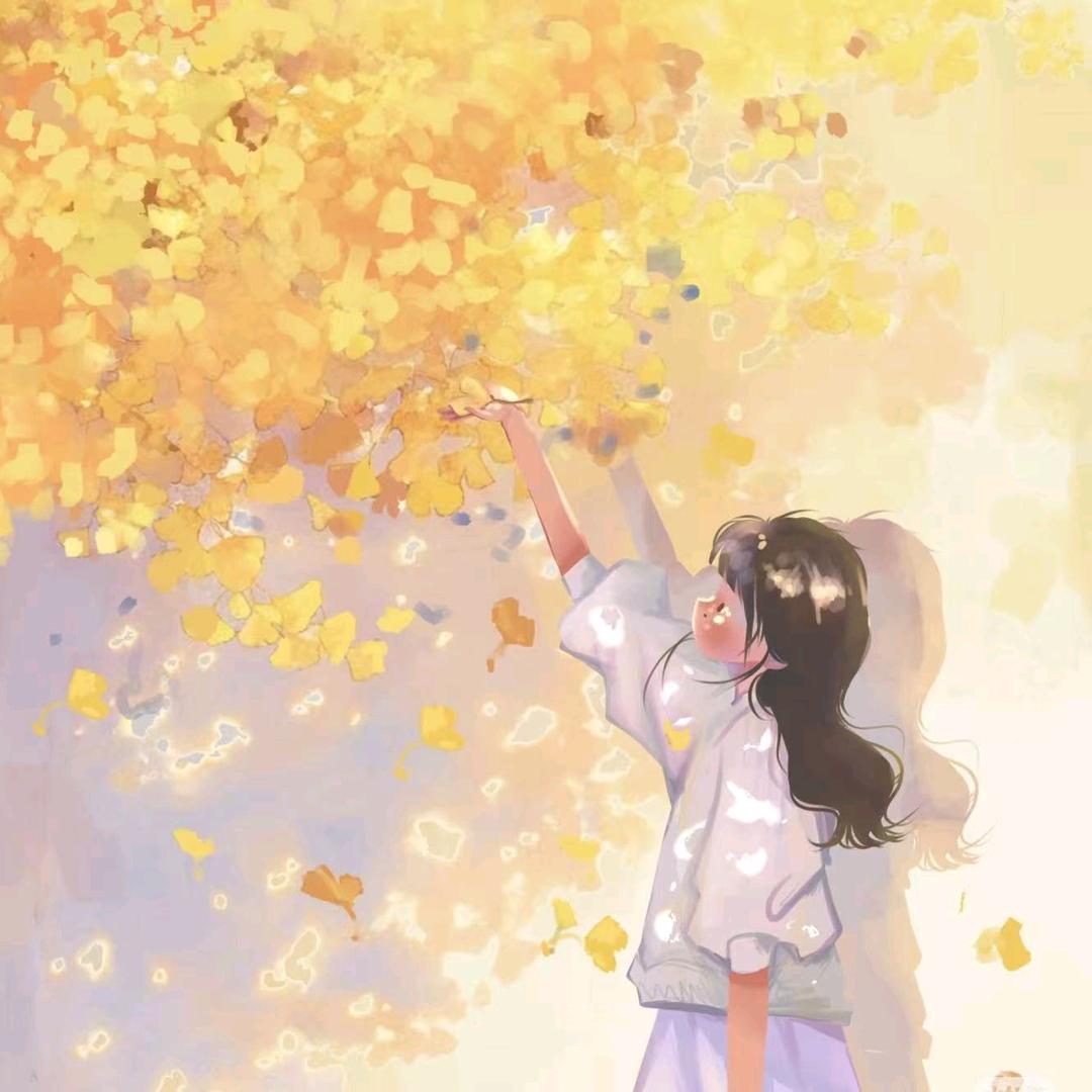 ᰔᩚ窝系招财喵ฅ